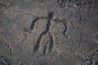 Photo of petroglyph