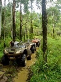 Photo of ATV in forest